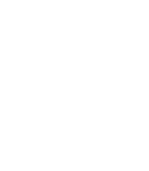 selleys